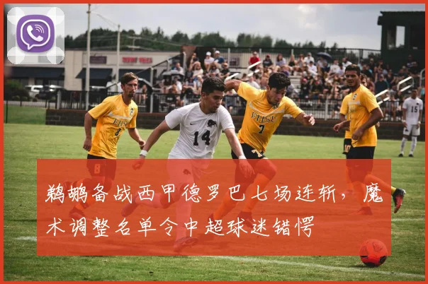 满冠体育APP - MANGUAN SPORTS官方入口 - 鹈鹕备战西甲德罗巴七场连斩，魔术调整名单令